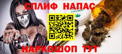 стафф Будённовск