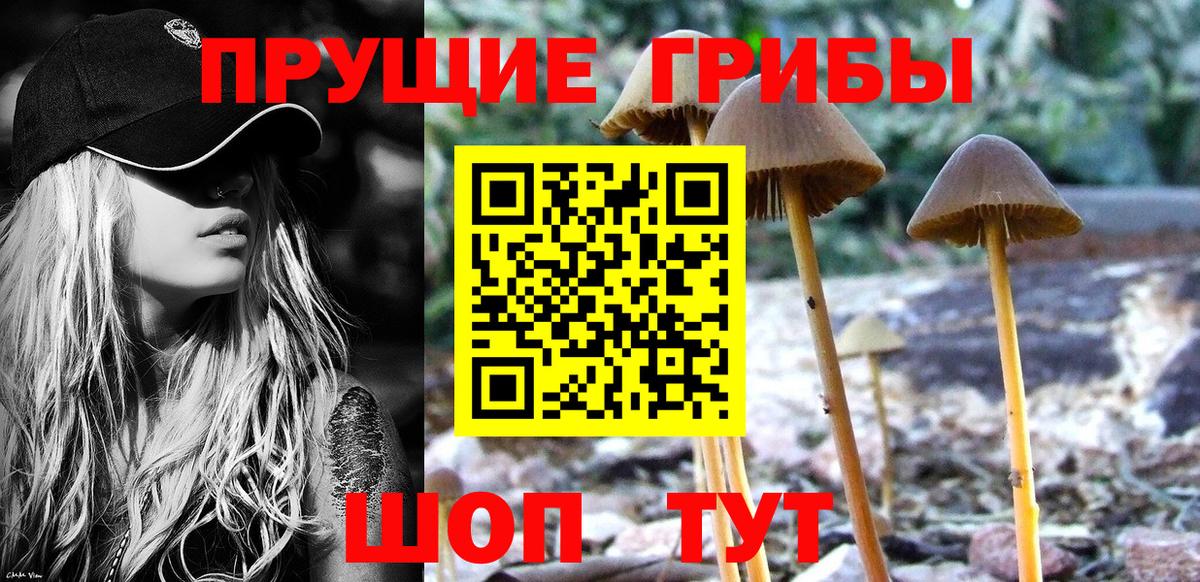 Галлюциногенные грибы ЛСД Свободный