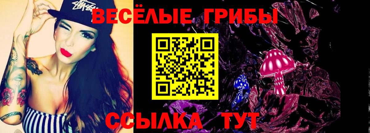 Галлюциногенные грибы MAGIC MUSHROOMS  Вход с VPN  Свободный 